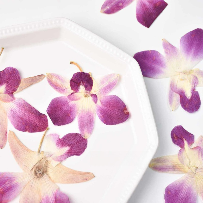 4pcs,Real Pressed Butterfly Or - Resin Art Frame recension och pris